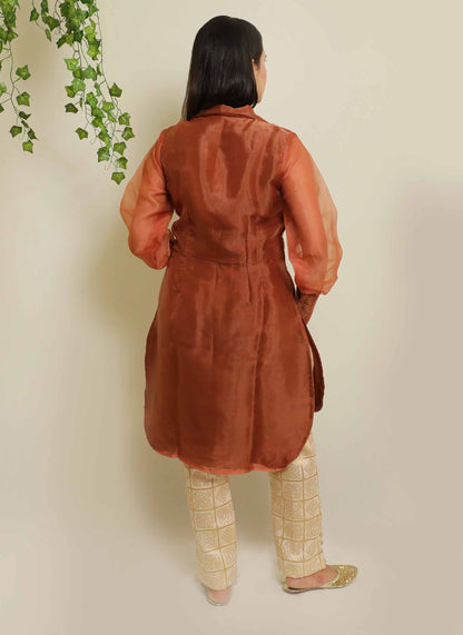 Brown Organza Plain Kurti