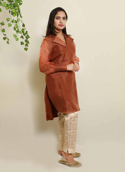 Brown Organza Plain Kurti